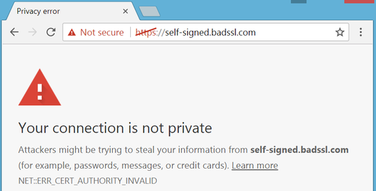 Browser self signed certificate error