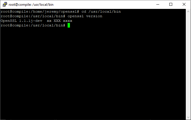 Check OpenSSL Version