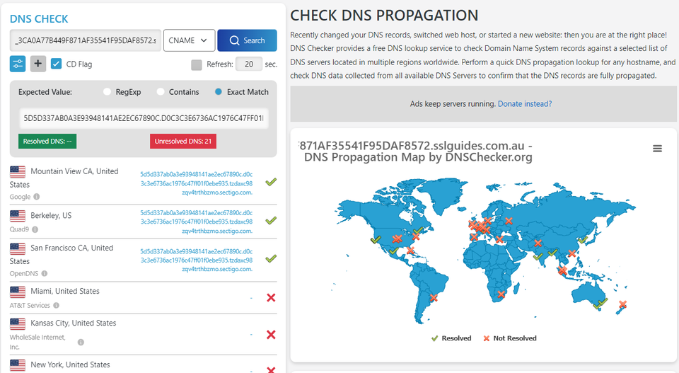 DNS Check